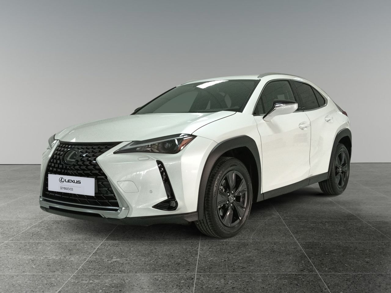 lexus-ux-20-250h-premium-en-madrid-8352f5ba3b783cd6342833ee14f72115