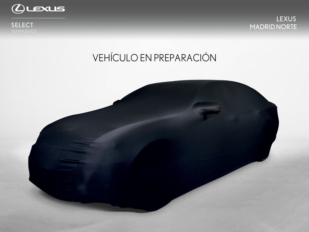 lexus-ux300e-electrico-300e-business-city-en-madrid-0683a4d1fe46c711719b9f154b3042bb