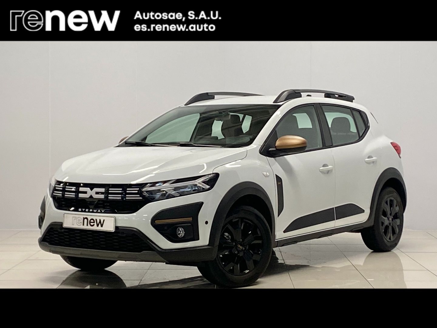 dacia-sandero-sandero-stepway-tce-extreme-go-81kw-en-madrid-92acbcb4289ec304cbd2537f94e8797f