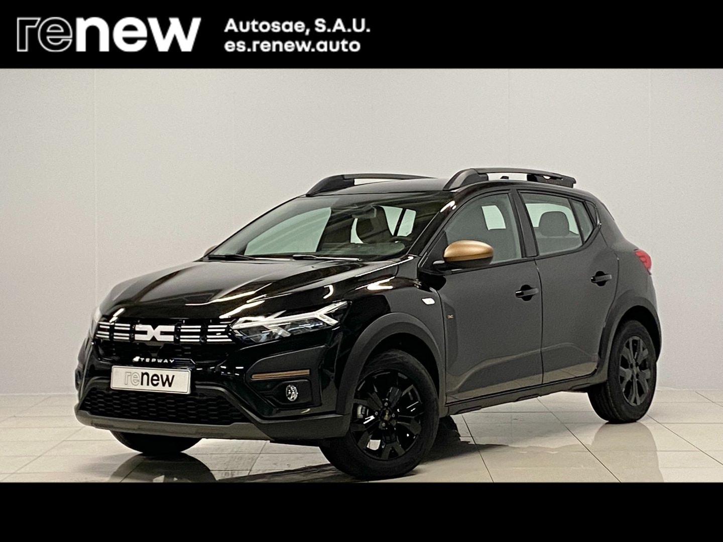 dacia-sandero-sandero-stepway-tce-extreme-go-81kw-en-madrid-93154e3bbe08ecfd65ec6f6ae5ec1eea