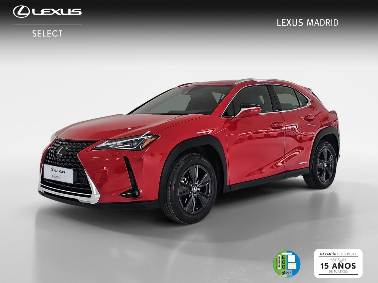 lexus-ux-20-250h-business-en-madrid-1206193df7226546985e46416e67785f