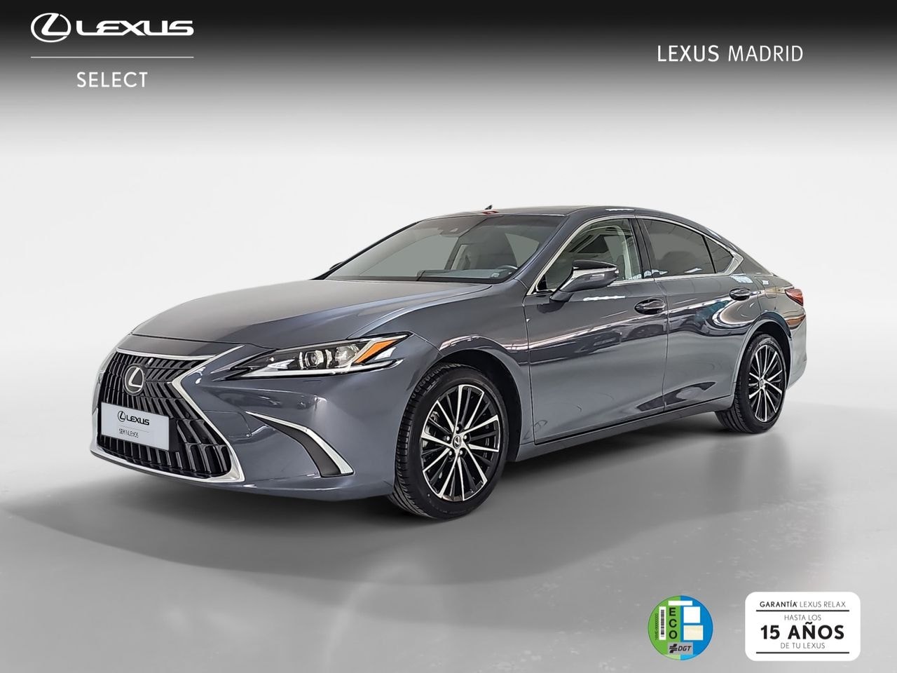lexus-es-25-300h-premium-en-madrid-7bdc6d91e63044e850020ef6176625e4