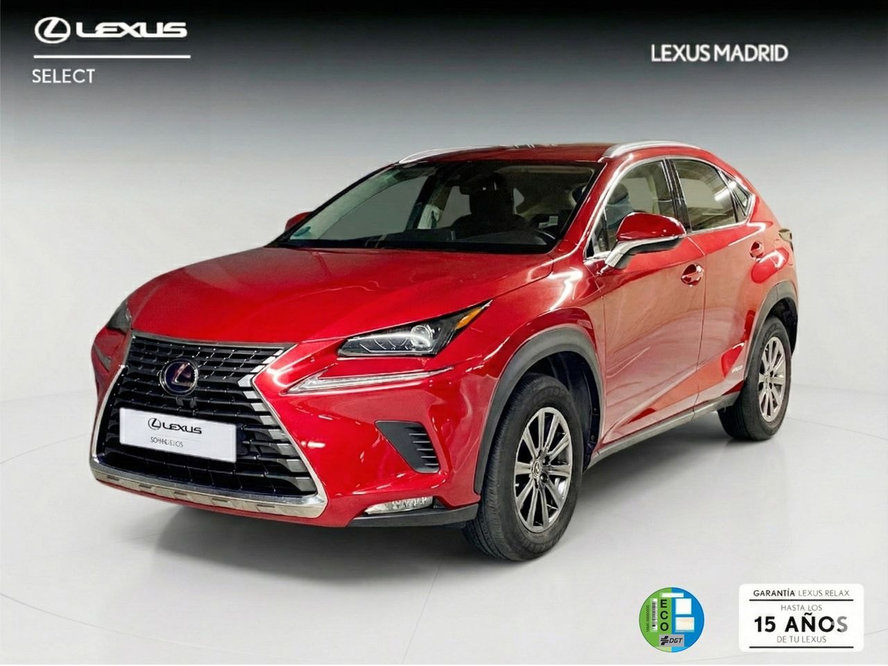 lexus-nx-25-300h-business-navigation-2wd-en-madrid-f7ae132b806c769ab9f58a977bc8e941