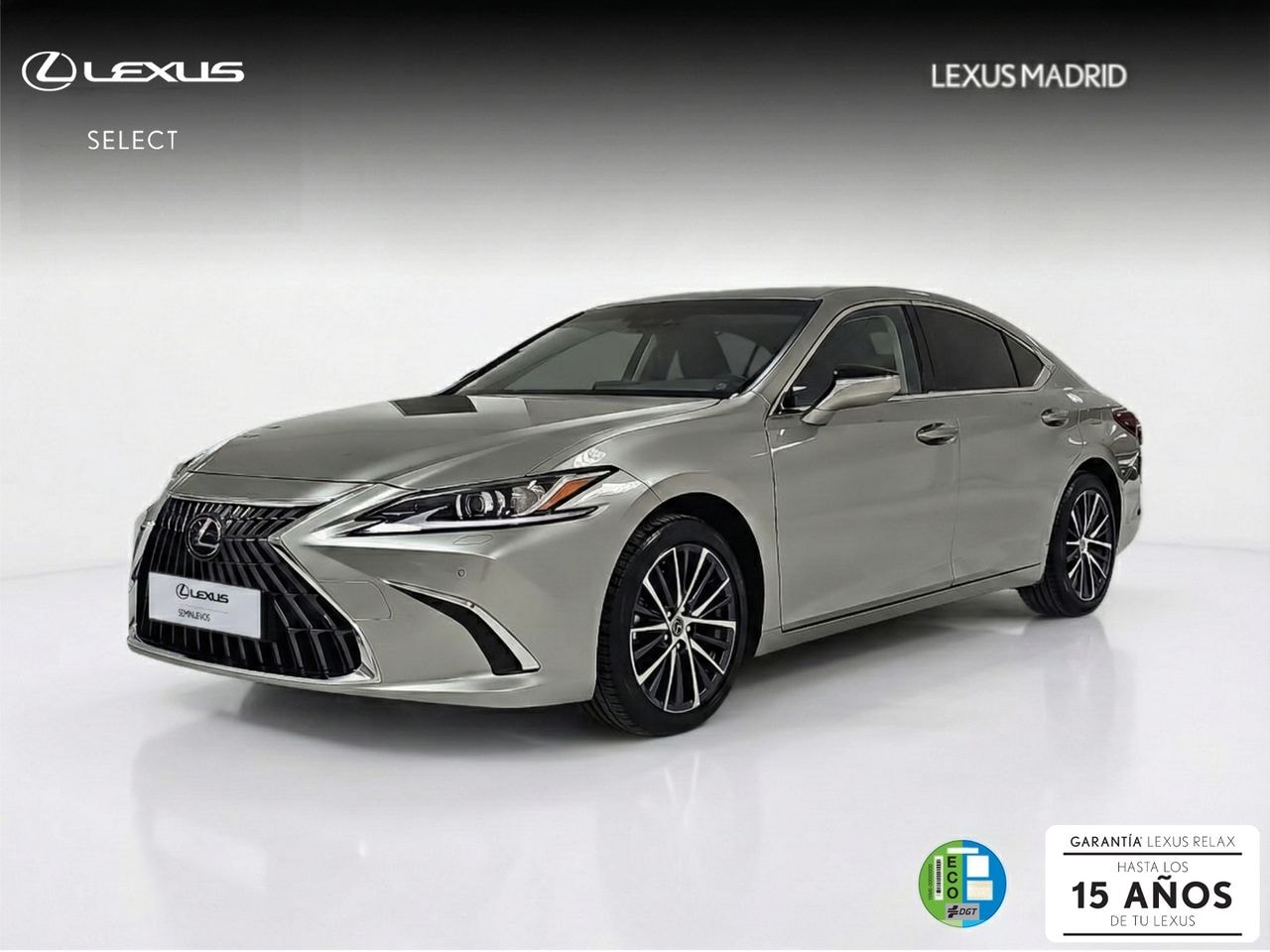 lexus-es-25-300h-premium-en-madrid-c3f33d8e6e7bcfa5655746017c4e2317