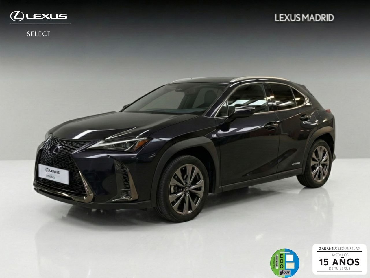lexus-ux-20-300h-f-sport-en-madrid-ea65cd745a543dbd5d98e8b85efa0c4f