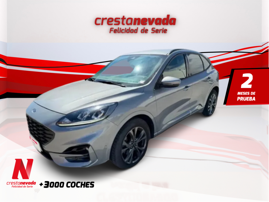 ford-kuga-stline-15-ecoblue-88kw-120cv-auto-en-murcia-2575bb183ecb5e4371647a5e66d45bb9