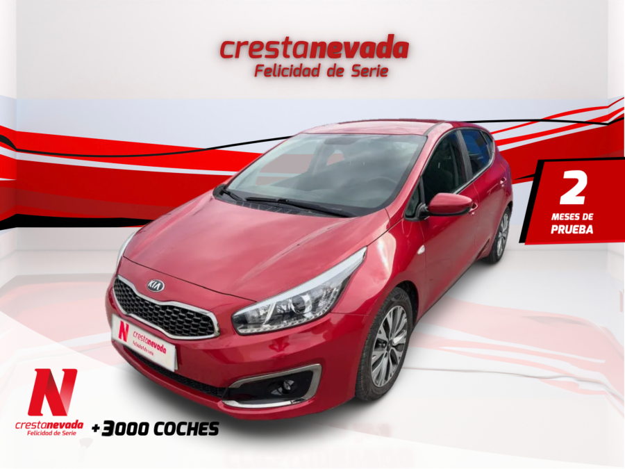 14-cvvt-74kw-100cv-drive-en-murcia-f76fead0c7fb0409b80a9f456edcc46e