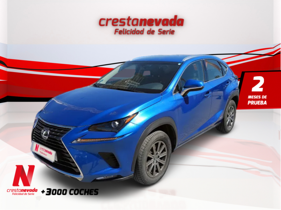 lexus-nx-25-300h-business-navigation-2wd-en-madrid-250e16045832a674c705d0a469fb8b2f