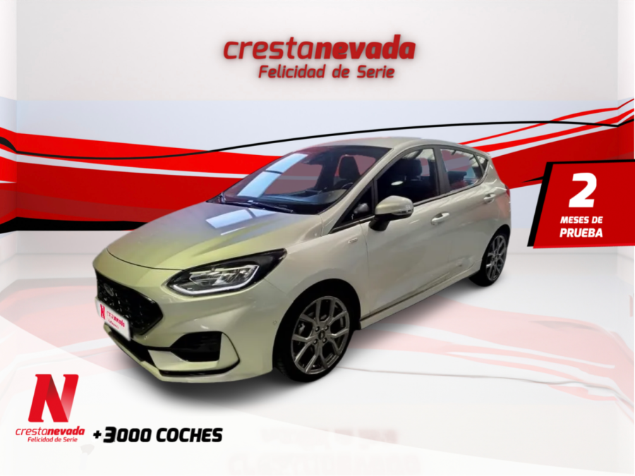 ford-fiesta-10-ecoboost-mhev-92kw125cv-stline-5p-en-murcia-d44c169d12812a8fe9096fbb22d5ad01