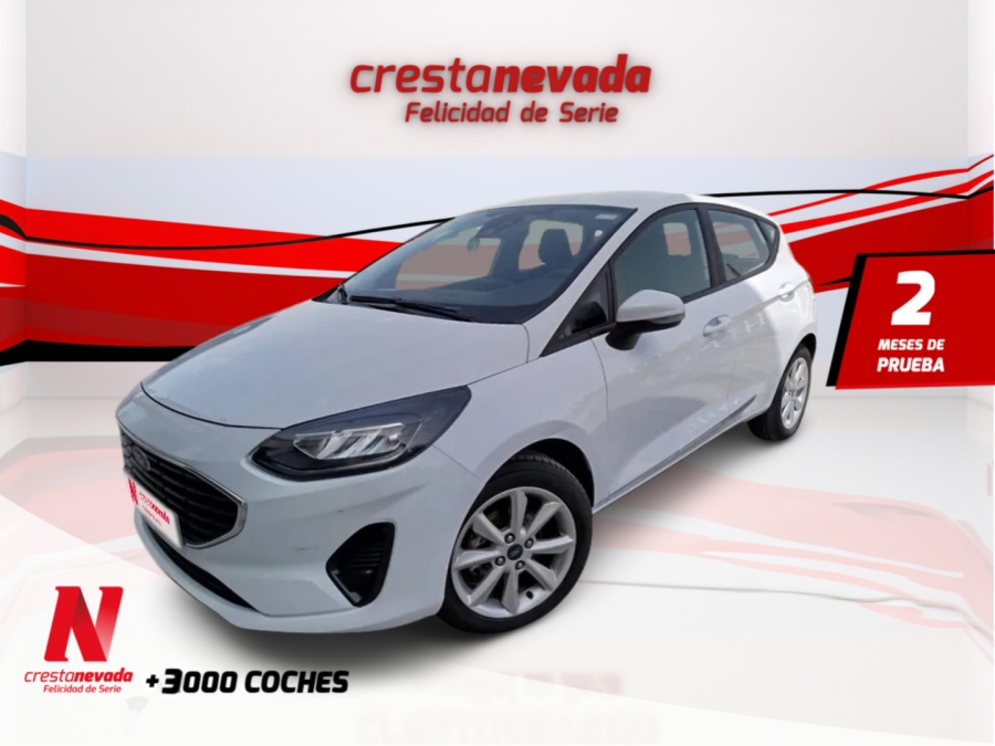 ford-fiesta-10-ecoboost-74kw-100cv-trend-5p-en-malaga-bd8e99b0d4ab803a2d751e17b39609c4