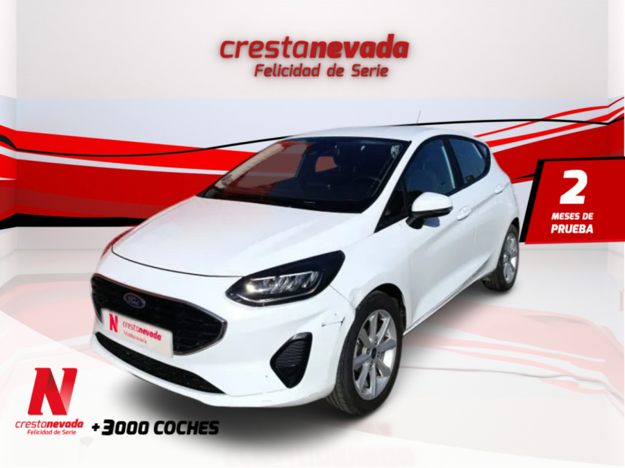 ford-fiesta-10-ecoboost-74kw-100cv-trend-5p-en-jaen-fc7f26216c32b5459a1682475a32b887