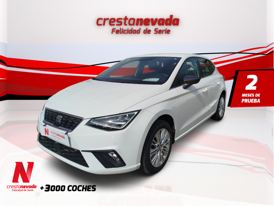 seat-ibiza-10-tsi-85kw-115cv-xcellence-plus-en-cordoba-1a2b8748df6a36eb22924c28da1f90cc