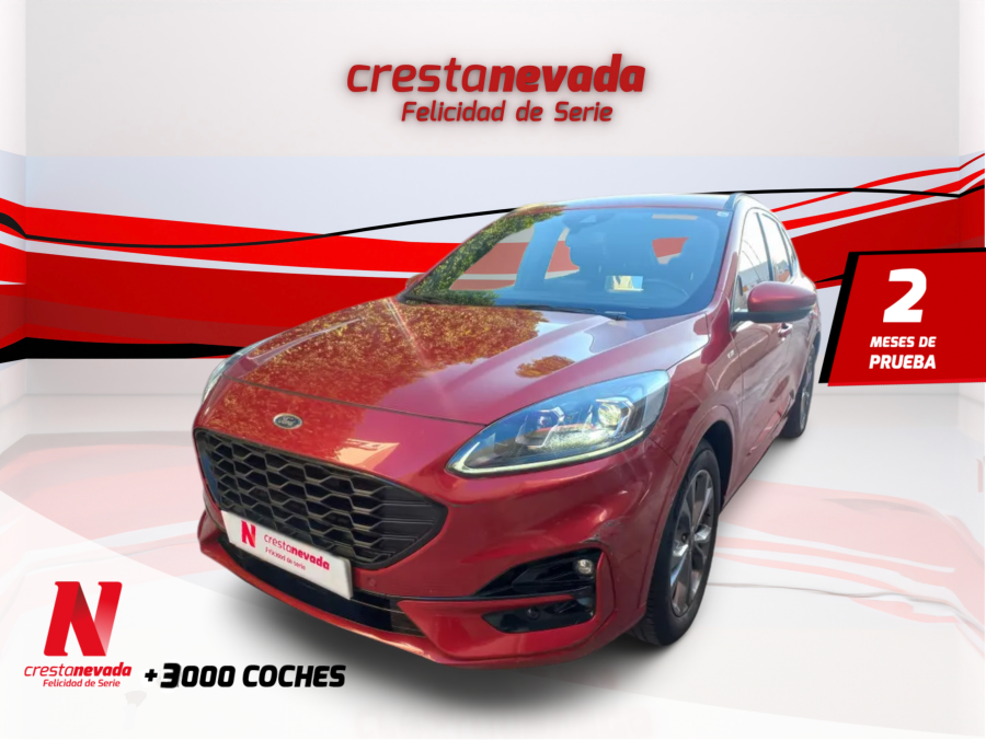 ford-kuga-stline-15-ecoboost-110kw-150cv-en-sevilla-cd168e8f2a23e290b3ca85a6f929f8a2