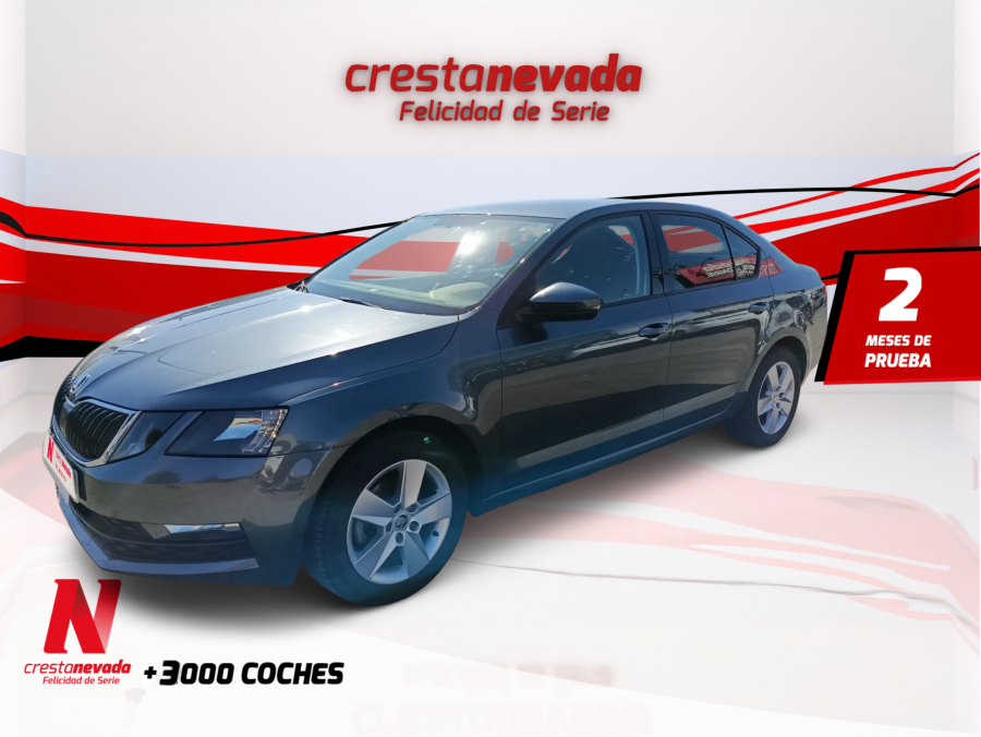 skoda-octavia-16-tdi-85kw-115cv-ambition-en-granada-bdf30655984b7b9b8ca2f31668c91e58