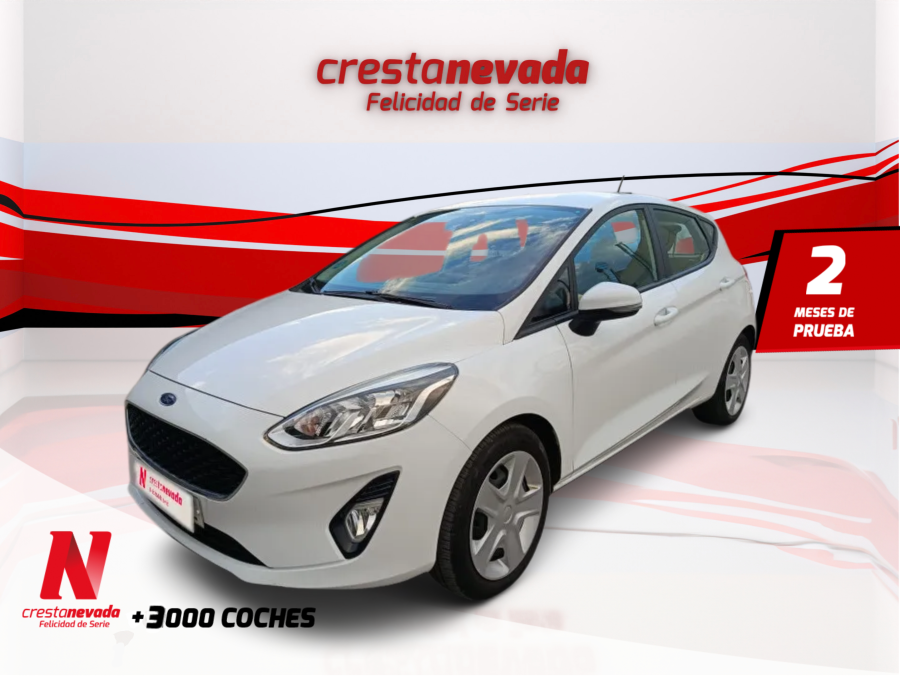 ford-fiesta-11-tivct-55kw-75cv-trend-5p-en-jaen-5c749a3eb34cb405b6b424944e8fc9bd