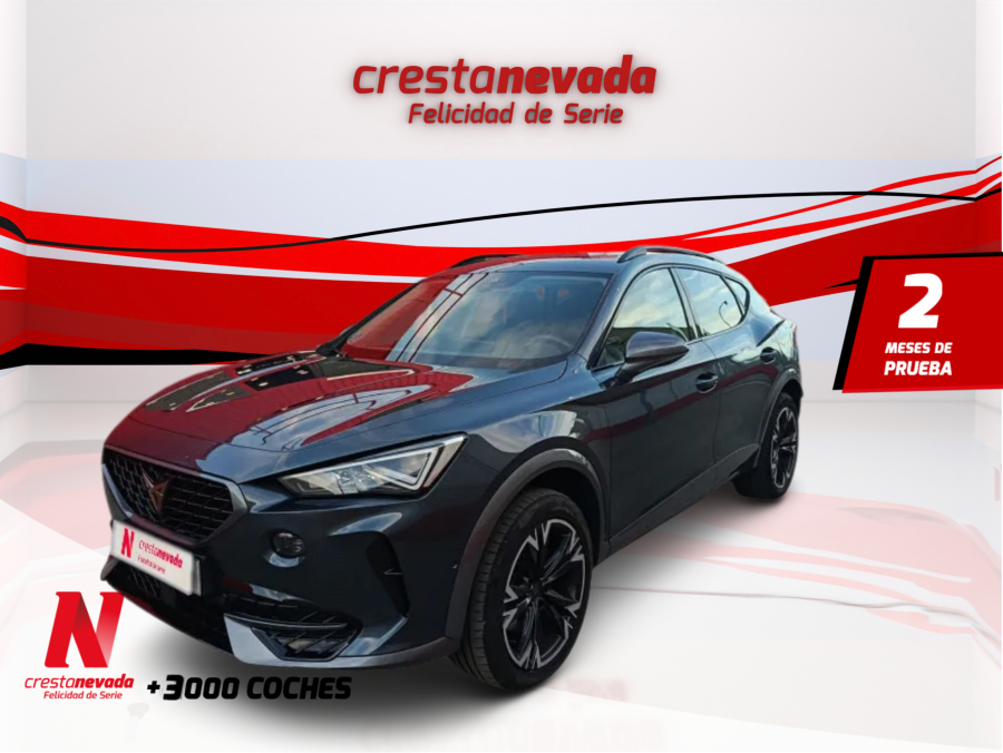 cupra-formentor-20-tdi-110kw-150-cv-en-granada-9239b4cf4f11594ed2258384dbb0f87f
