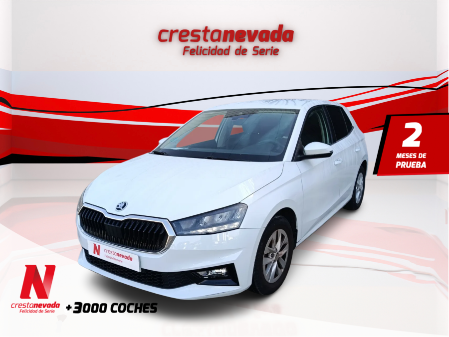 skoda-fabia-10-mpi-59kw-80cv-essence-en-sevilla-c46b41f620608b62b363be936688bd1e