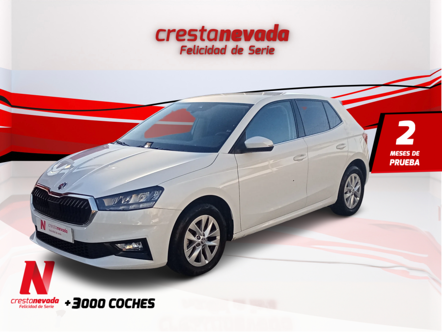 skoda-fabia-10-mpi-59kw-80cv-selection-en-cordoba-f97099043e63266f5b70dc1da4a1e309