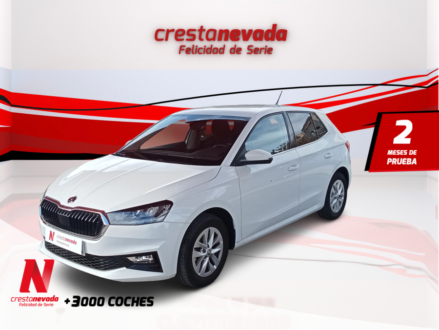 skoda-fabia-10-mpi-59kw-80cv-essence-en-avila-2ee11e8327a963cb475dc012a454c8fc