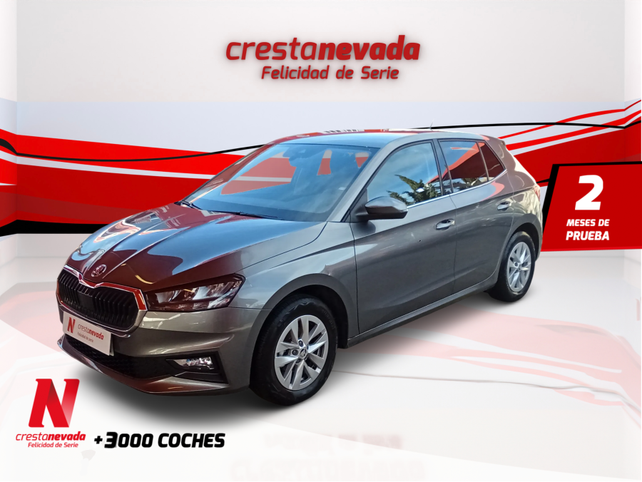 skoda-fabia-10-mpi-59kw-80cv-selection-en-granada-c1089a1b06b85525d8c17d02b28e93ab