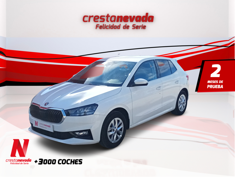 skoda-fabia-10-mpi-59kw-80cv-selection-en-granada-1bc851c6702864d6ba913d5d129e8ded