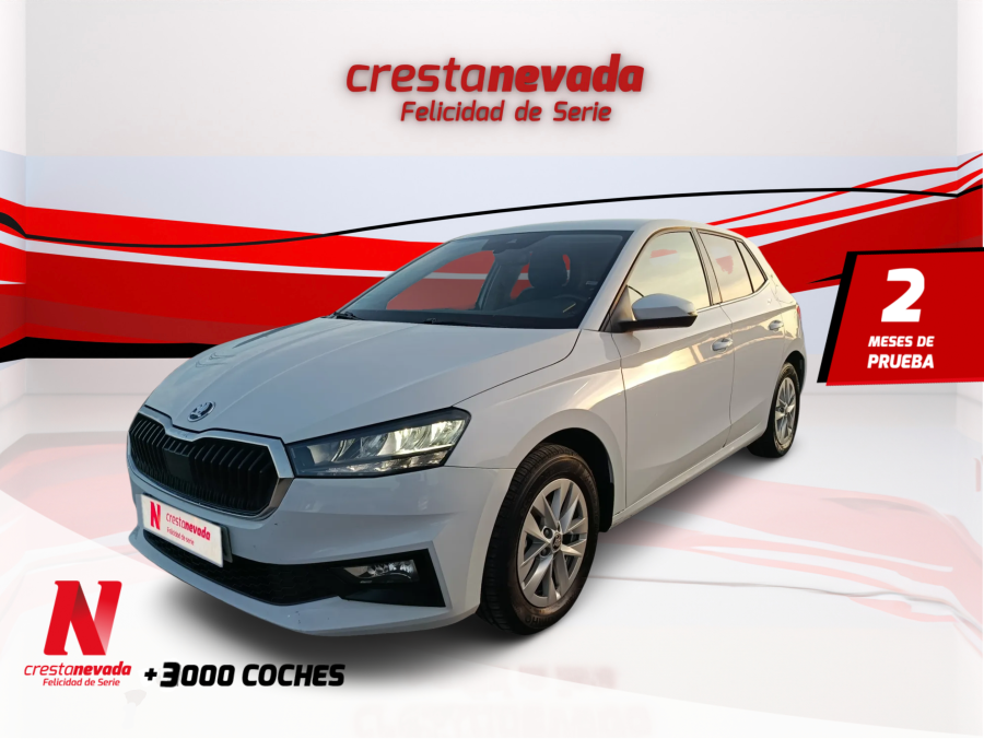 skoda-fabia-10-mpi-59kw-80cv-selection-en-granada-3191d53a439d0c47009a50afa933d8d5