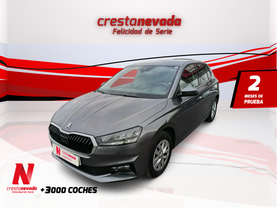 skoda-fabia-10-mpi-59kw-80cv-selection-en-granada-774729c415c9a0f48710624efd04da81