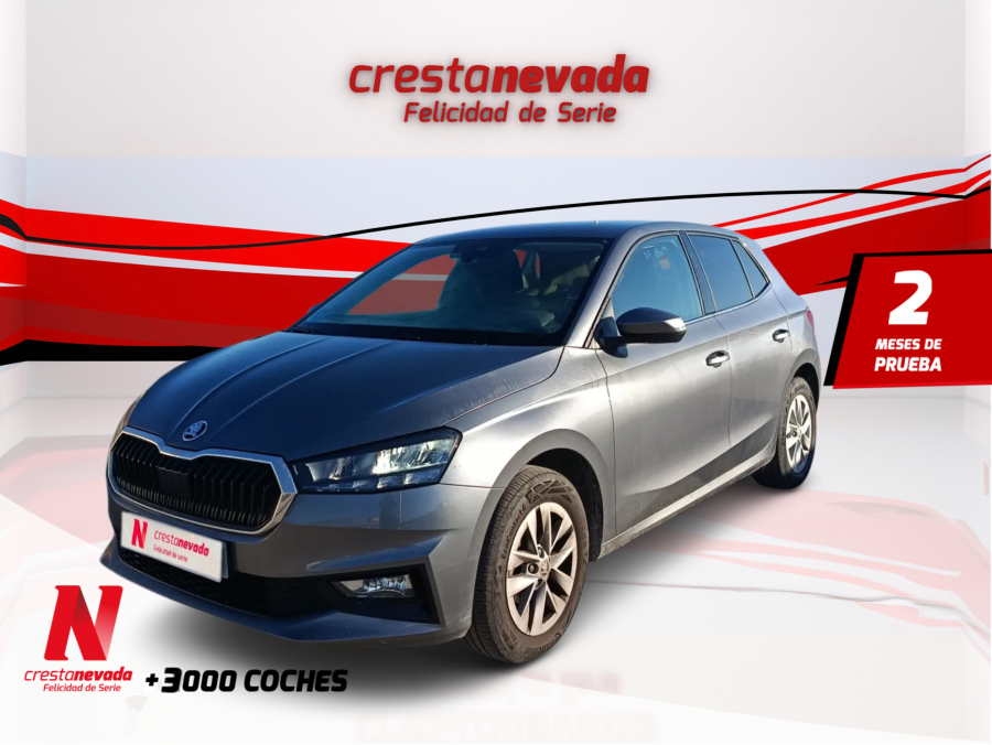 skoda-fabia-10-mpi-59kw-80cv-selection-en-madrid-4e9b3bea1a0692cf1d841893826844a7