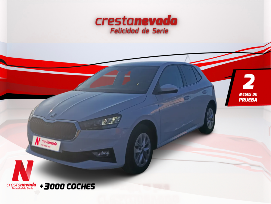 skoda-fabia-10-mpi-59kw-80cv-selection-en-cordoba-ee3e8690ea1a029197c047616563f477