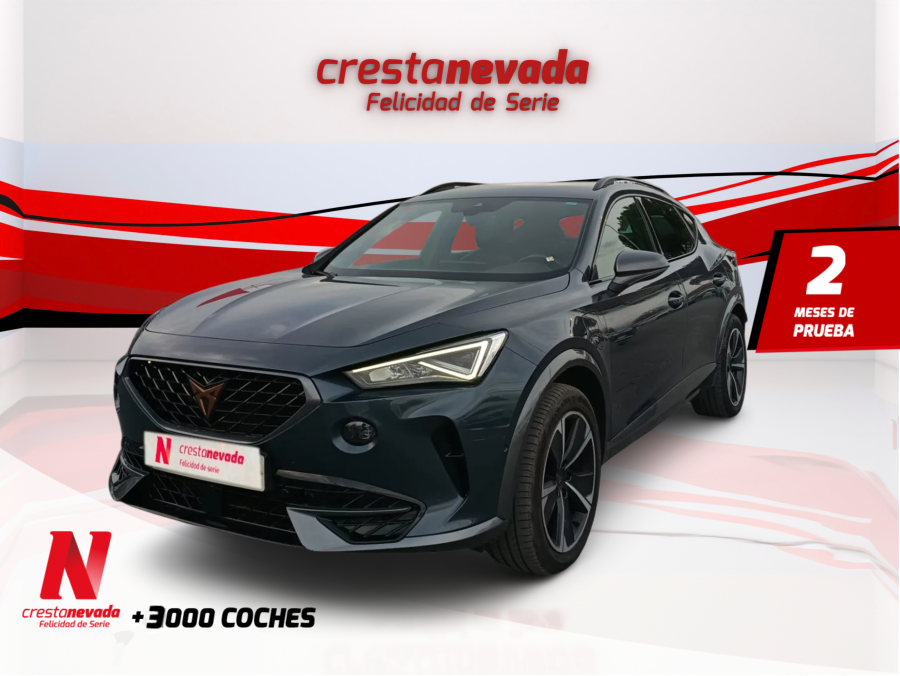 cupra-formentor-14-ehybrid-150kw-204-cv-dsg-en-malaga-1e0d01bb5d0738c97280b09e14e0e8ed