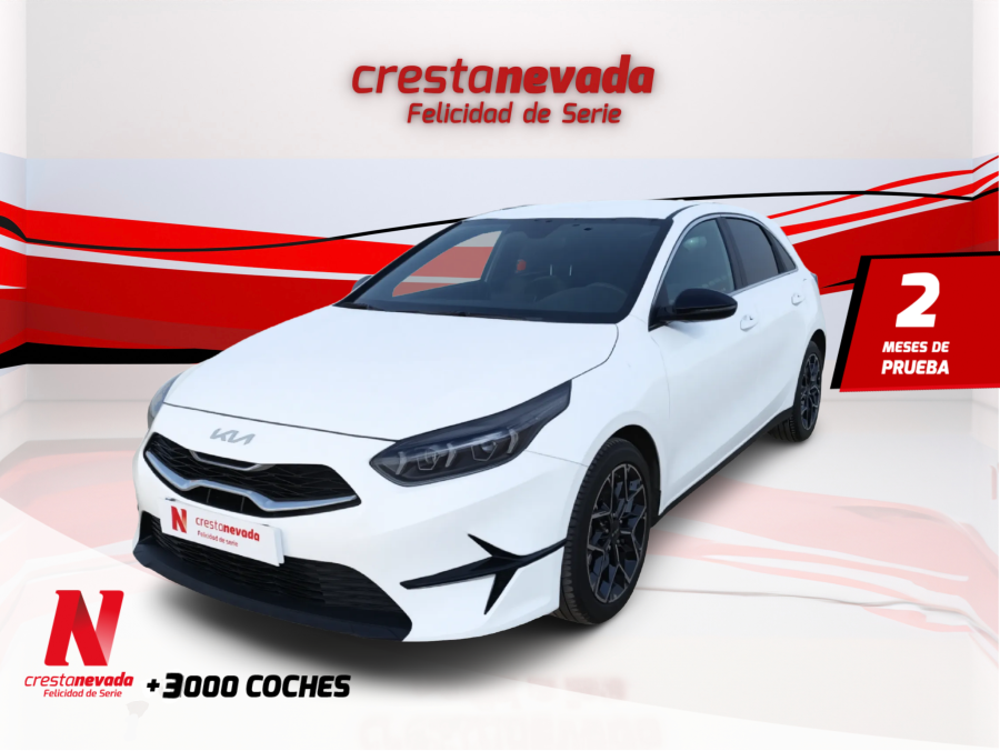 10-tgdi-74kw-100cv-style-edition-en-granada-0bc82f89c80a43d03b87b805b3add69b