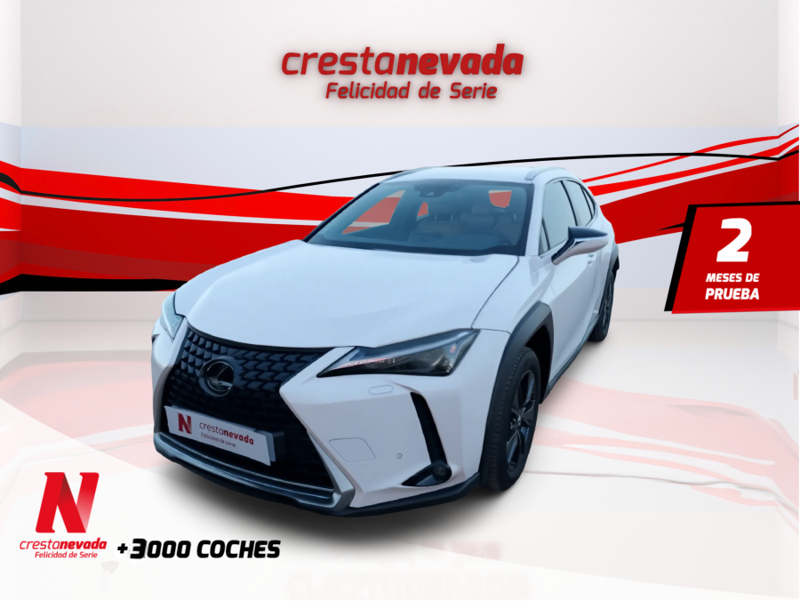 lexus-ux-20-250h-business-city-en-granada-de000292790c424d9c99769eed37fee6