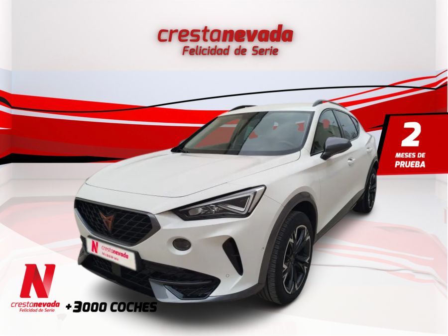 cupra-formentor-20-tdi-110kw-150-cv-4drive-dsg-en-valencia-e694dae3071af06ae212b3cd563105bd
