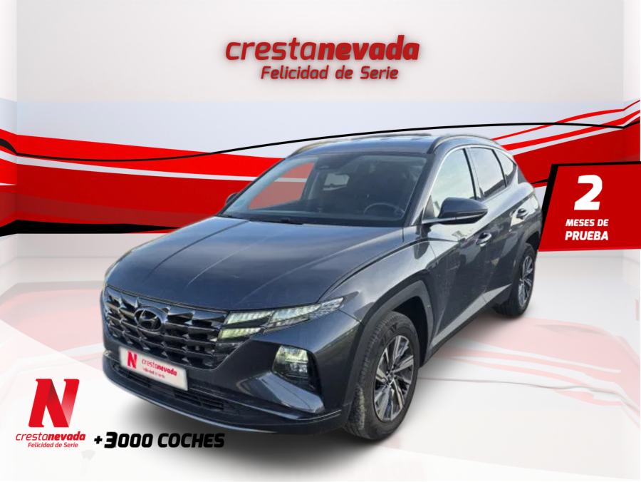hyundai-tucson-16-crdi-85kw-115cv-maxx-en-girona-146613a847c1fc5e6aa6353a5d305b2b