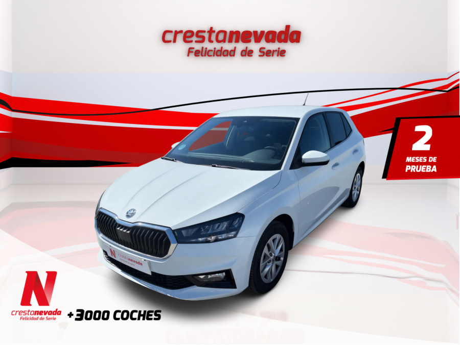 skoda-fabia-10-mpi-59kw-80cv-selection-en-granada-c4e2ac8d27ad96461dab7aa2bc6a6e41