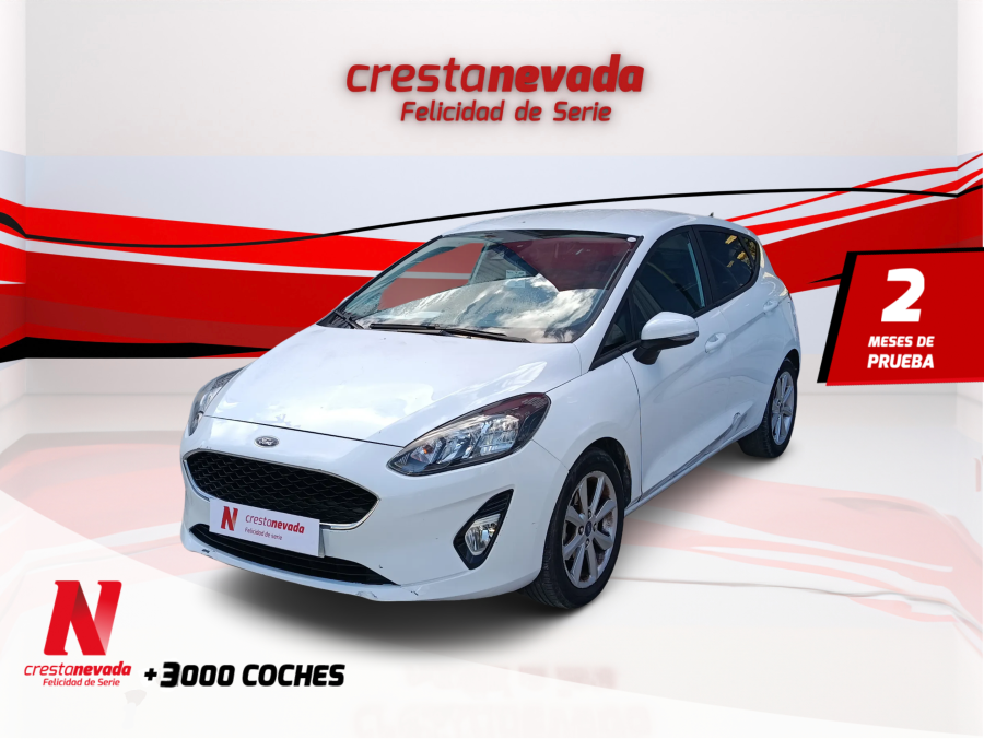 ford-fiesta-10-ecoboost-74kw-100cv-trend-5p-en-jaen-bf1e3ae38c706be91fe48f2a7654d735