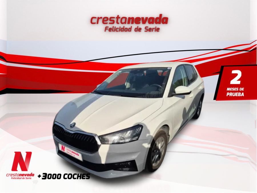skoda-fabia-10-tsi-70kw-95cv-selection-en-madrid-4d297ee4e2f8d2a80d0922208d952405