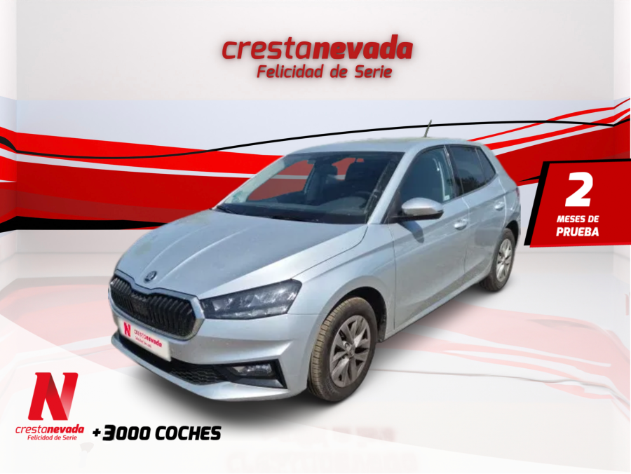 skoda-fabia-10-tsi-70kw-95cv-selection-en-madrid-fcba689ee5ece02a61e1ecad8d1da6f6
