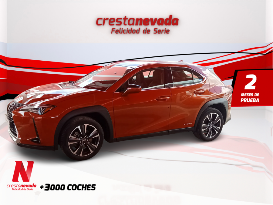 lexus-ux-20-250h-business-en-malaga-48dc1cce22df58eb7f64d430373e0d97