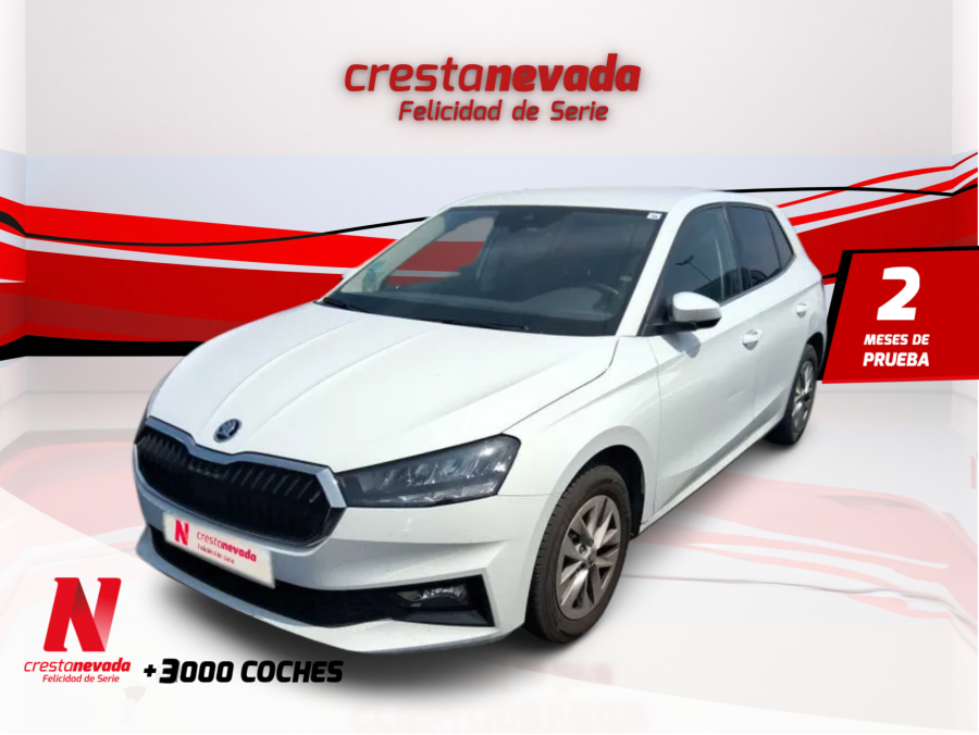 skoda-fabia-10-tsi-70kw-95cv-selection-en-madrid-7ef444309b776895042d375d40a76917