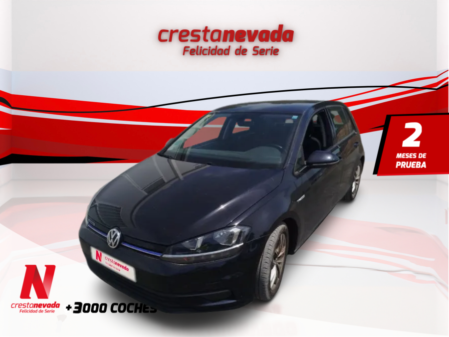 volkswagen-golf-last-edition-15-tsi-evo-96kw-130cv-en-madrid-530d60d373c6ea9faee8b377d5a64852