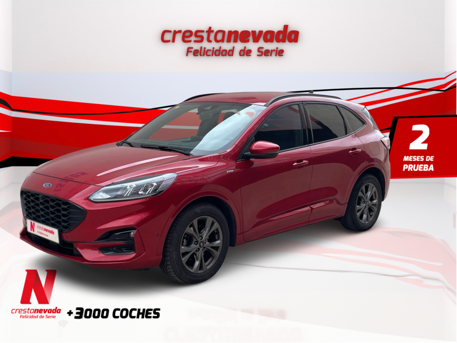 ford-kuga-stline-x-20-ecoblue-mhev-110kw-150cv-en-girona-74ad94c4f45709fe5de66de9f1d69afd