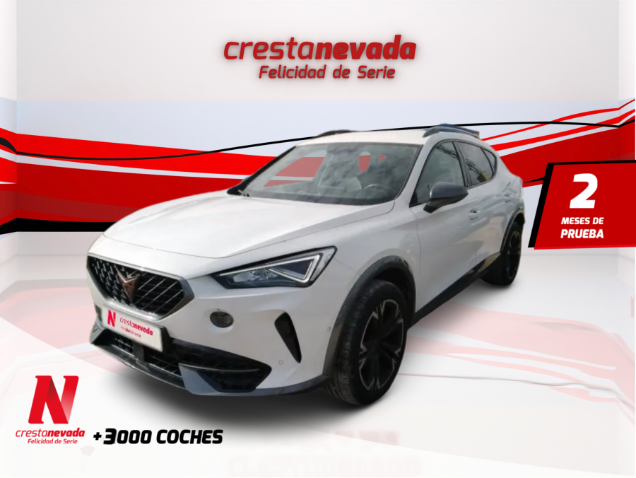 cupra-formentor-20-tdi-110kw-150-cv-en-madrid-0521b06e719d79cd9295ea423e343b5f