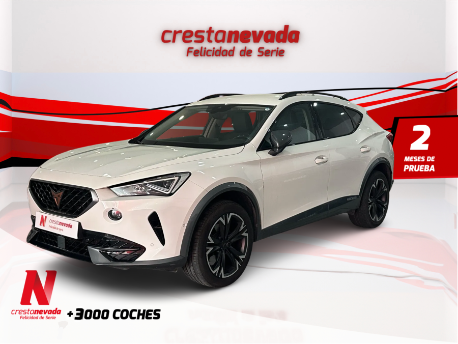 cupra-formentor-20-tdi-110kw-150-cv-en-madrid-9b01289e848f24994b48b5d7f0881046