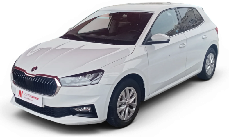 skoda-fabia-10-mpi-59kw-80cv-essence-en-valencia-cf2b1f9f2368d5977732eb07aaf1d6d9