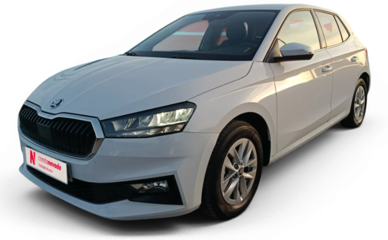 skoda-fabia-10-mpi-59kw-80cv-selection-en-granada-3191d53a439d0c47009a50afa933d8d5