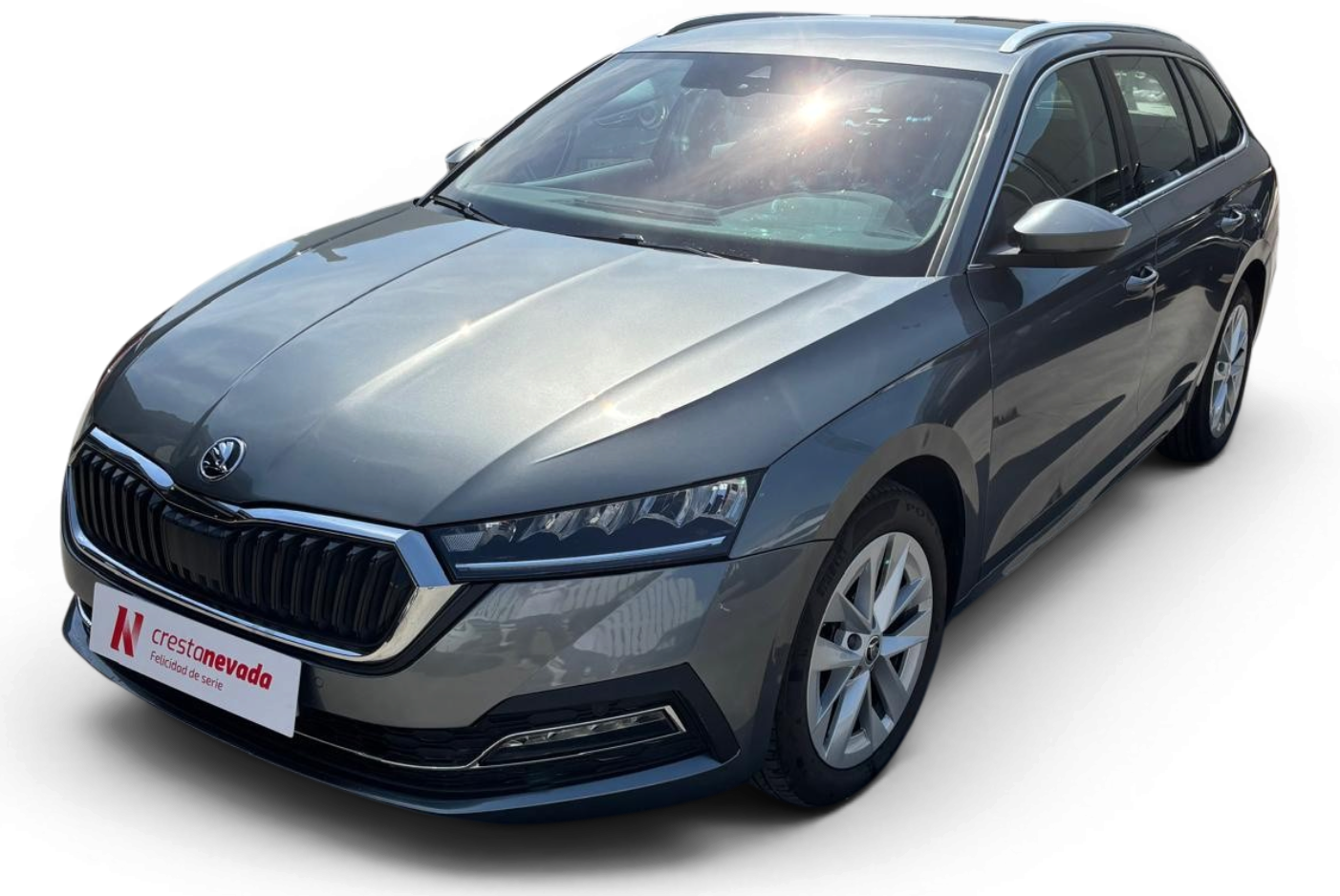 skoda-octavia-combi-20-tdi-110kw150cv-dsg-selection-en-granada-5ff5ac51b21d4f030e739fb9fd48e311