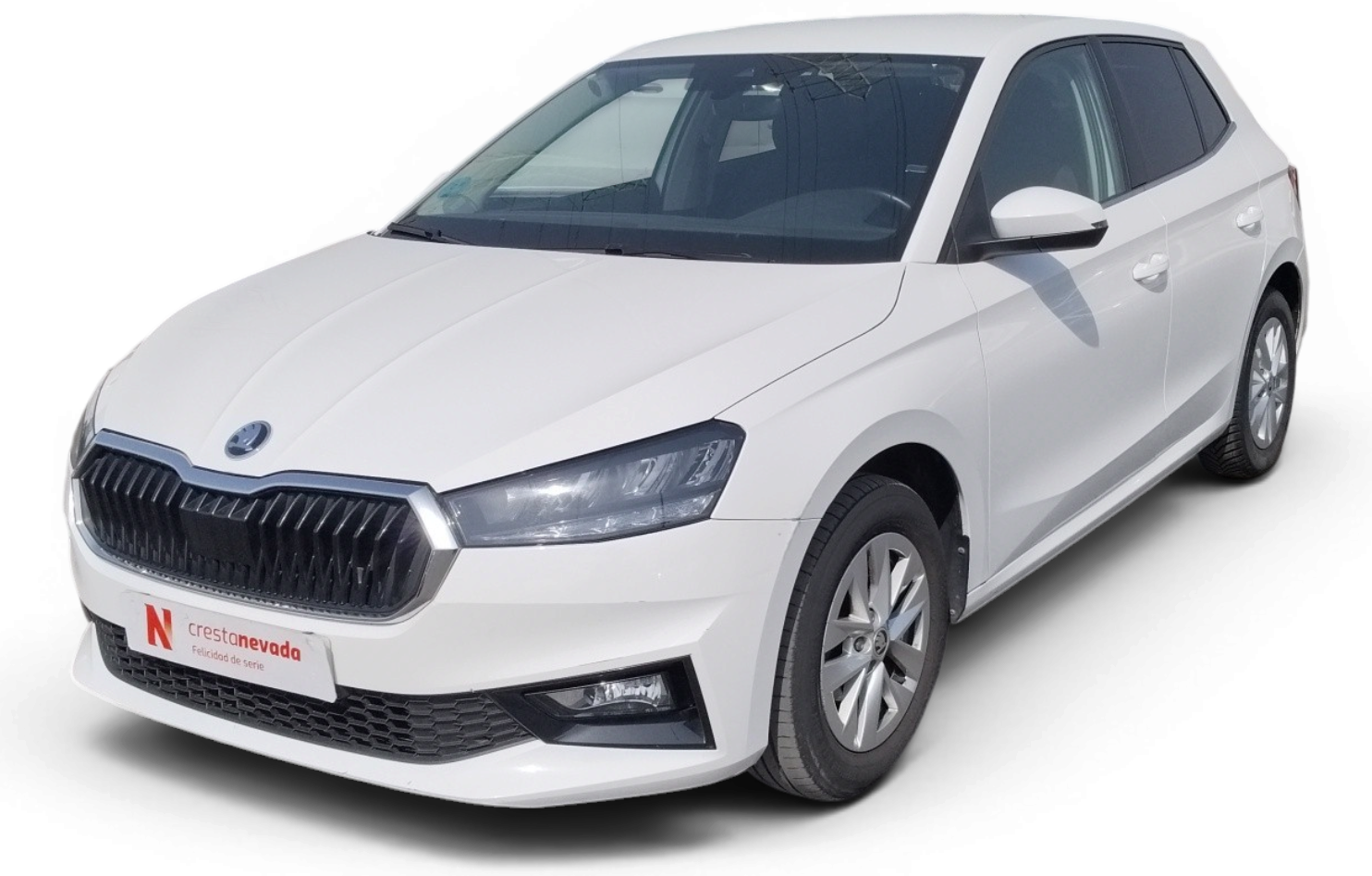 skoda-fabia-10-tsi-70kw-95cv-selection-en-madrid-badacf3a7b22c9d543fe1368d07af1cc