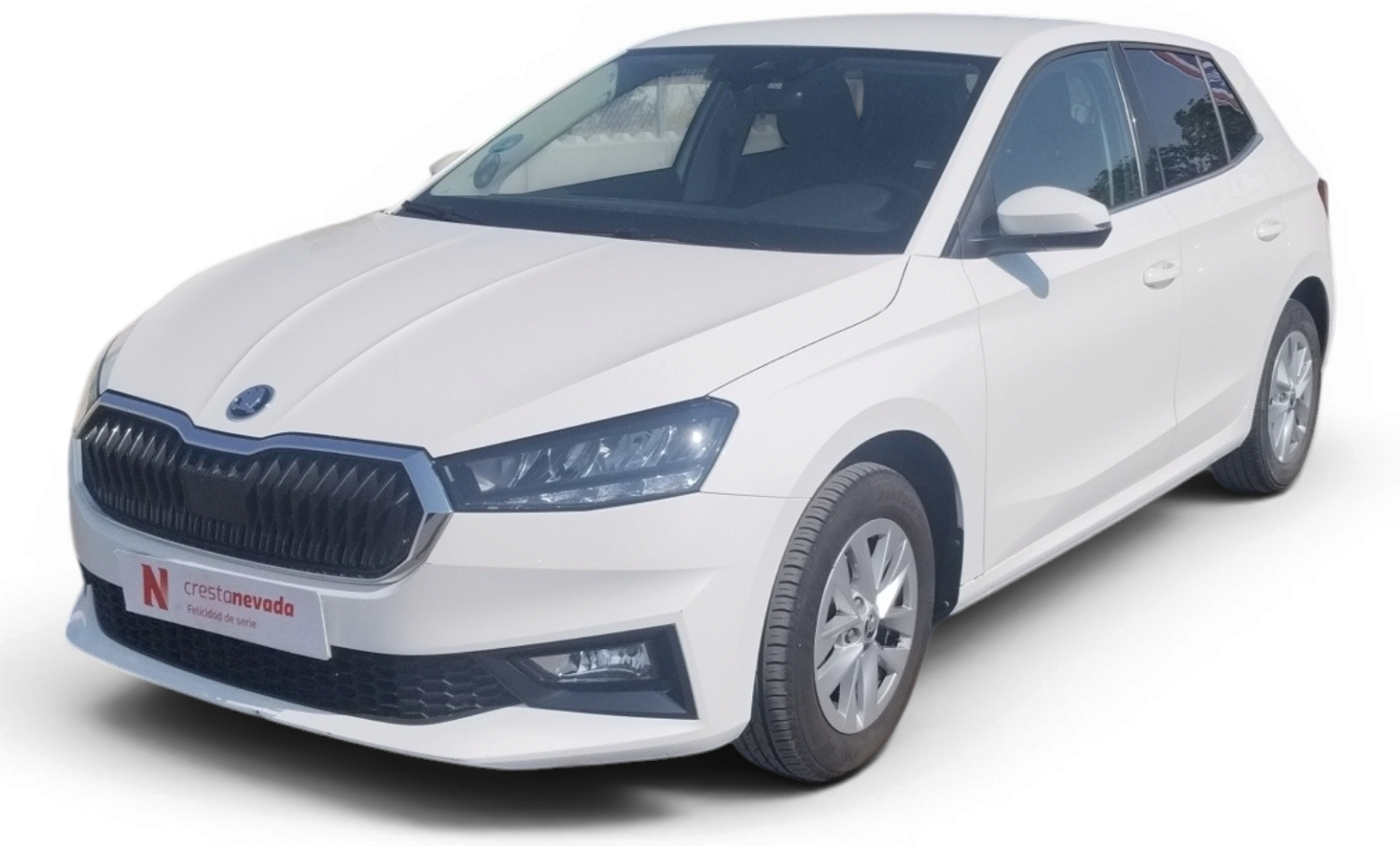 skoda-fabia-10-tsi-70kw-95cv-selection-en-madrid-675322d309403d056595975e3ca5aaa4