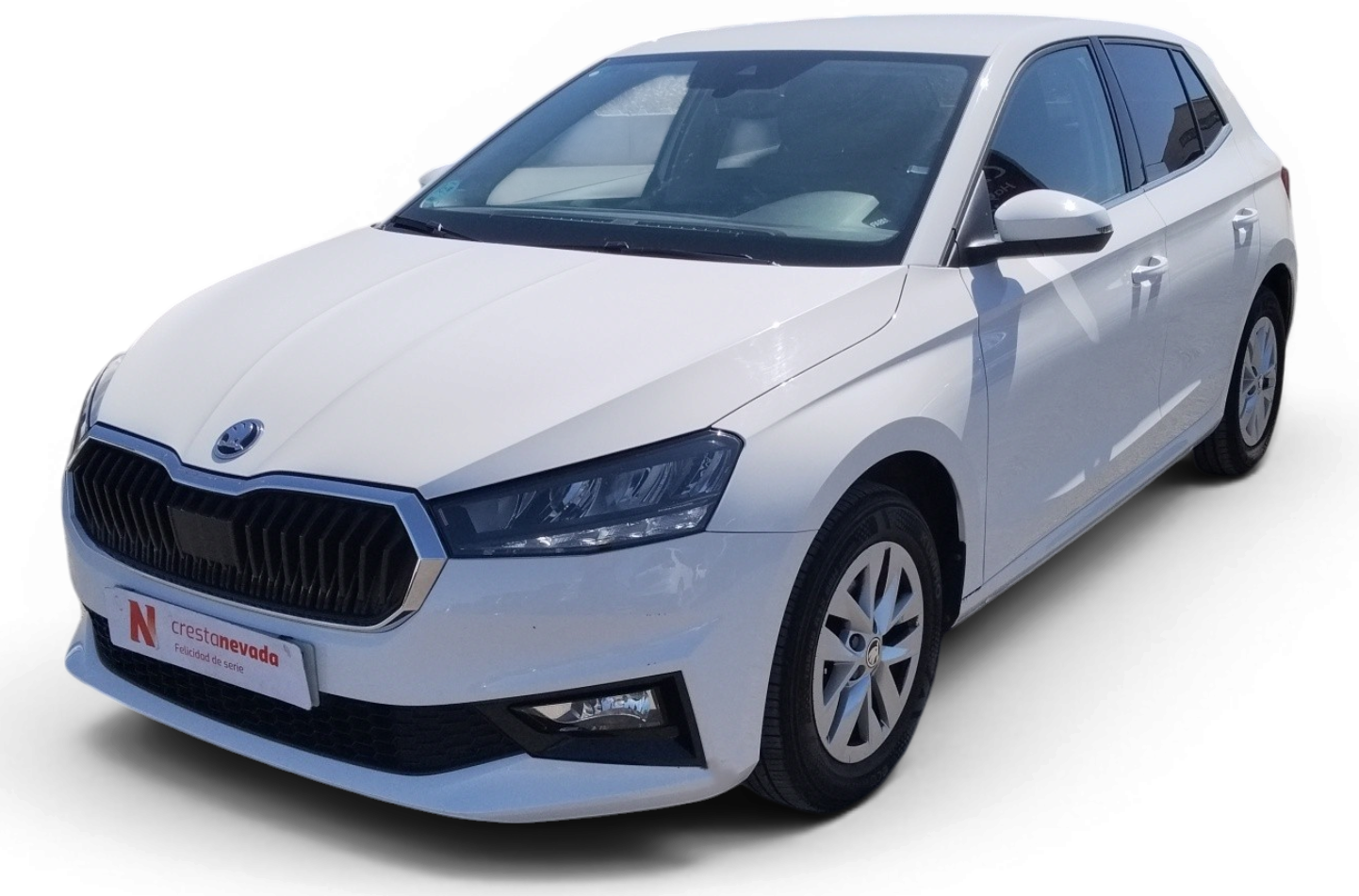 skoda-fabia-10-tsi-70kw-95cv-selection-en-granada-db9eaceefba8bf2d86c67da06e3ed7a5